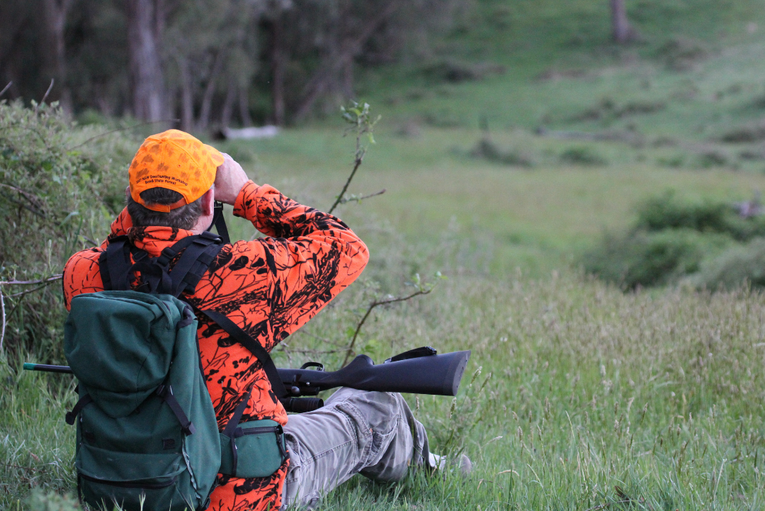 The Ethics of Hunting Respect for Wildlife and the Environment