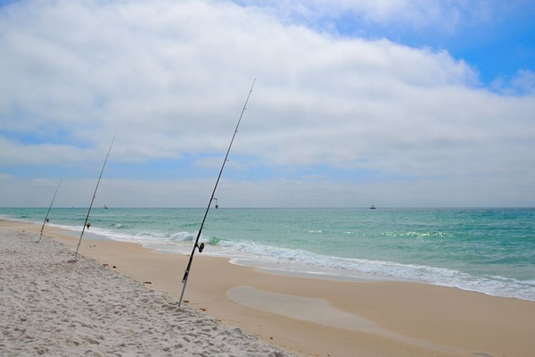 Surf fishing