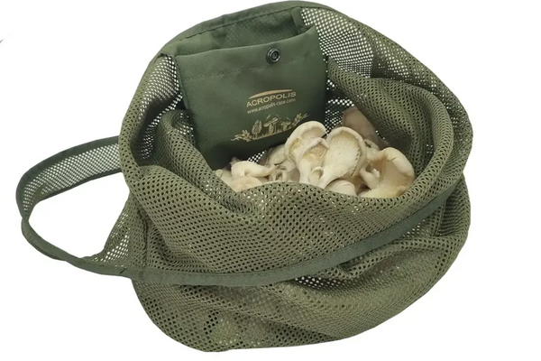 Types of mushroom bags: which one is right for you?