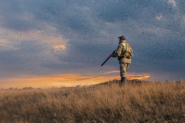 DIY hunting clothing modifications: customizing your gear for success