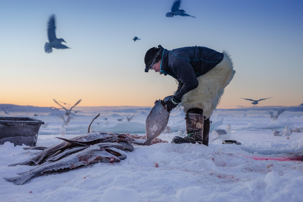 Ice fishing like a pro: advanced techniques and unusual tips for a memorable winter fishing experience