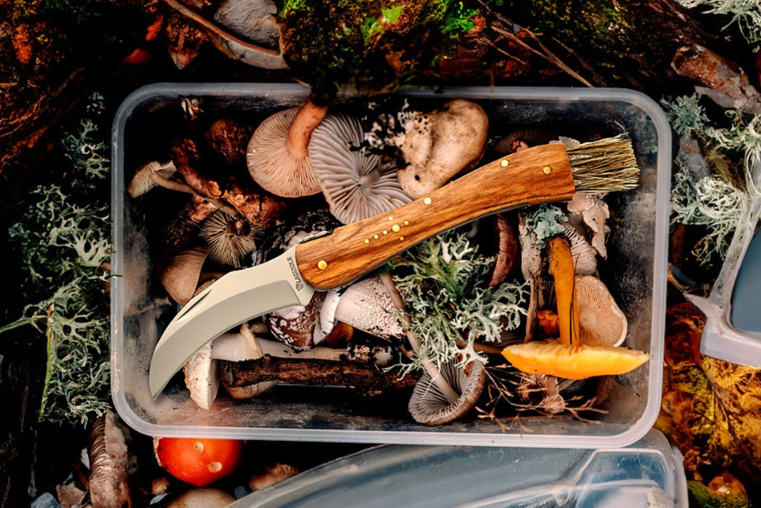 The Ultimate Guide How To Choose A Mushroom Knife In 2024 HUNTING CASE   25 Ec5e7a8a C6f8 4ac4 Ab8e Face644f7852 