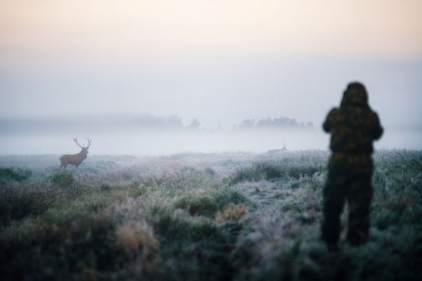 Deer hunting. Getting started