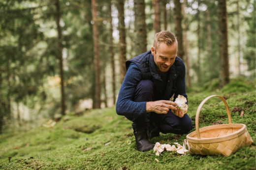 Mushroom hunting for beginners