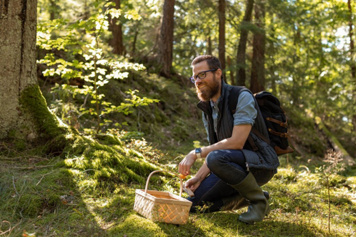 How to start mushroom hunting?