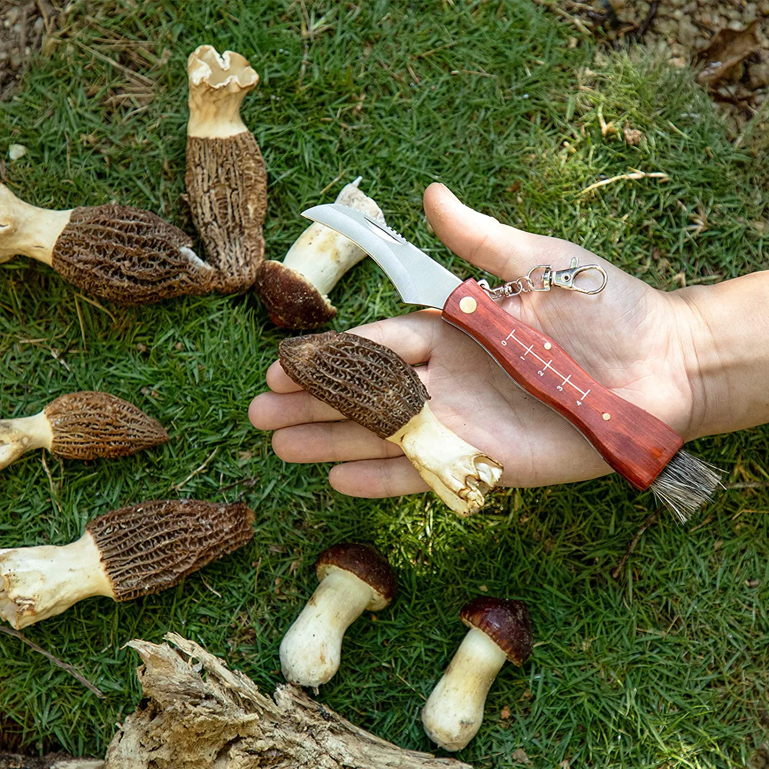 Best mushroom knives, Mushroom knife with brush