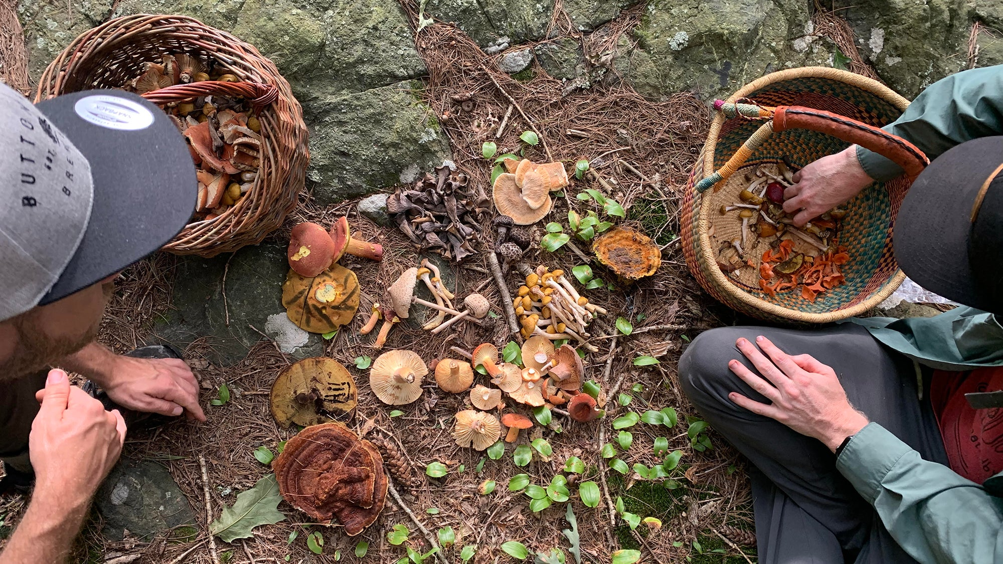 Mushroom hunting equipment, Mushroom foraging items Mushroom Bag Mesh Basket