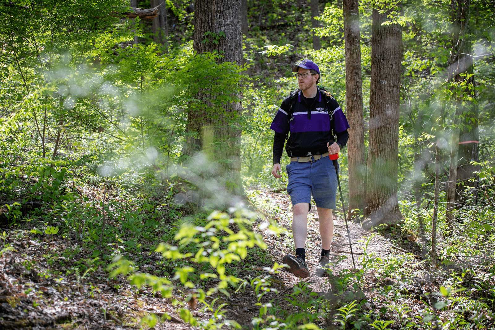 Hiking sticks Mushroom Hunting Supplies Accessories