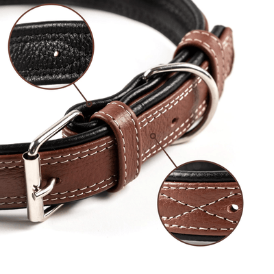 Stylish Leather Dog Collar