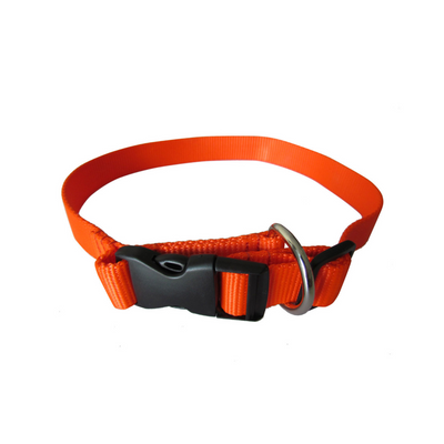Dog Collar Hunting Dog Safety Strap Orange