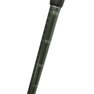 Walking Sticks For Hiking