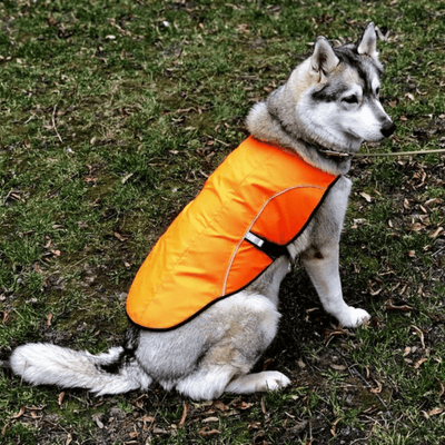 Adjustable dog vest for comfort