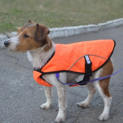 Orange dog vest for outdoor activities