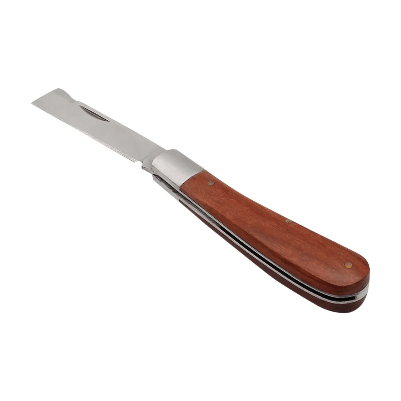 Mushroom hunting knife features