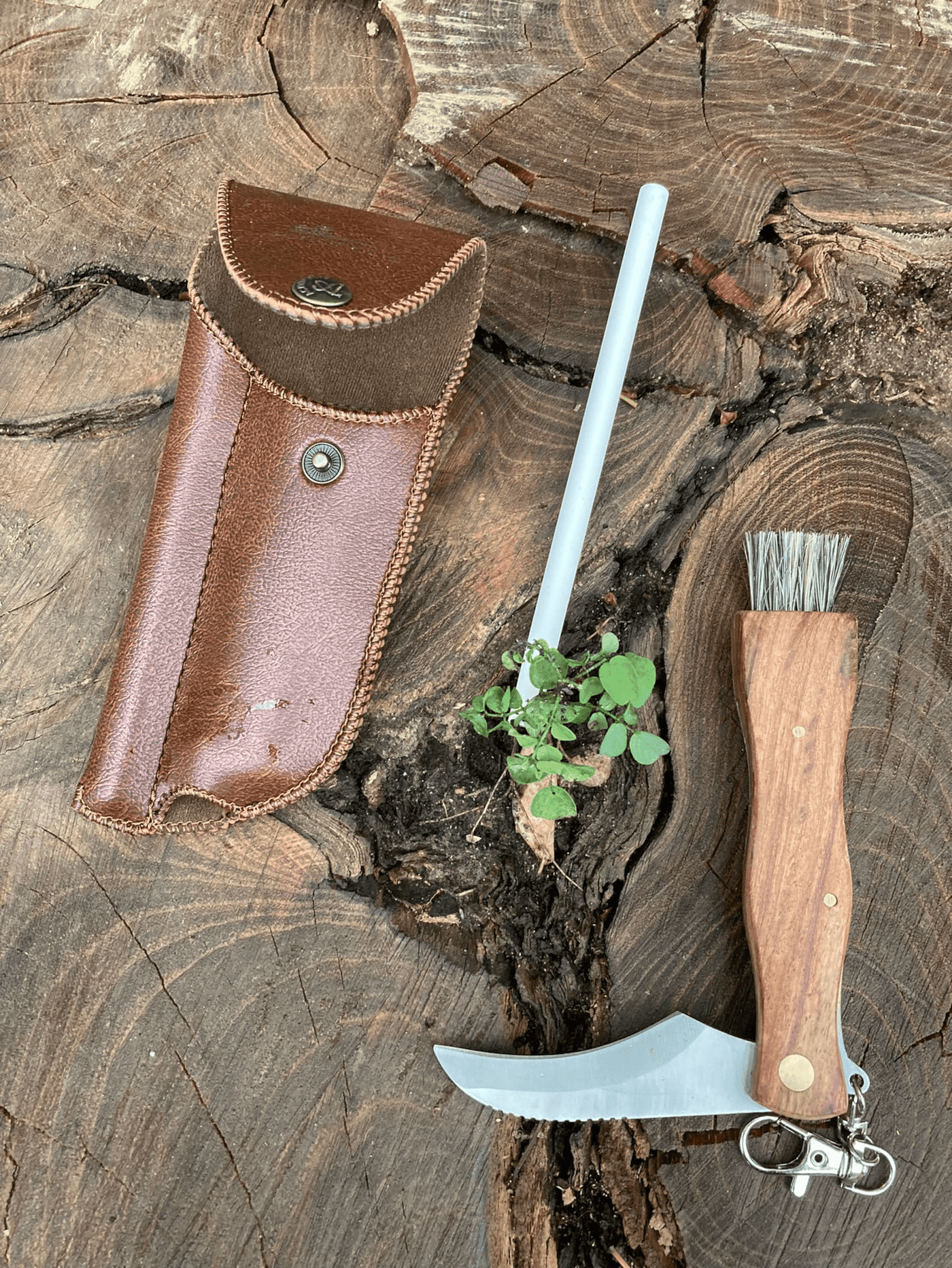 Mushroom knife with Sharpener in a Case