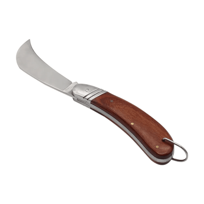 Knife for wild mushroom picking