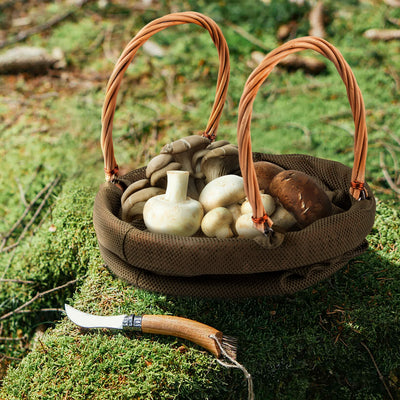 mushroom foraging basket backpack